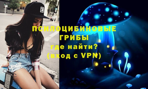 гидра Аркадак