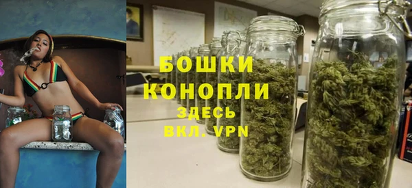гидра Аркадак