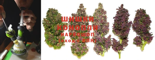гидра Аркадак