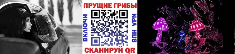 закладки Салават Псилоцибиновые грибы Magic Shrooms